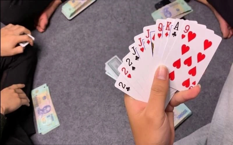 Sâm lốc có sâm nghèo không